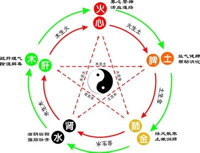 哲 五行|哲字的五行属性